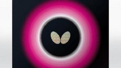 로제나러버 솔직 후기💖 꿀팁 대방출! (feat. 할인 정보)