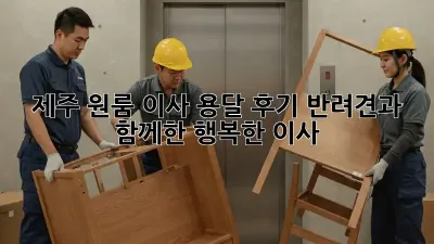 제주 원룸 이사 용달 후기: 반려견과 함께한 행복한 이사